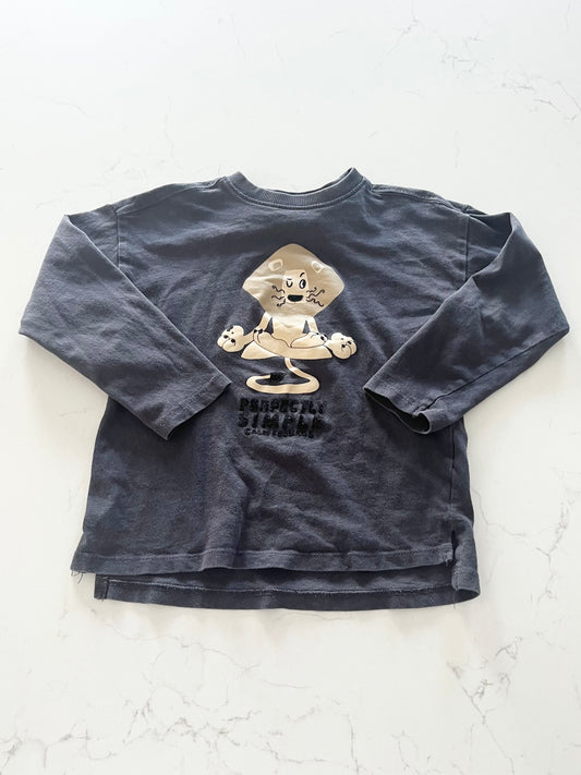 Zara-Chandail-4/5T