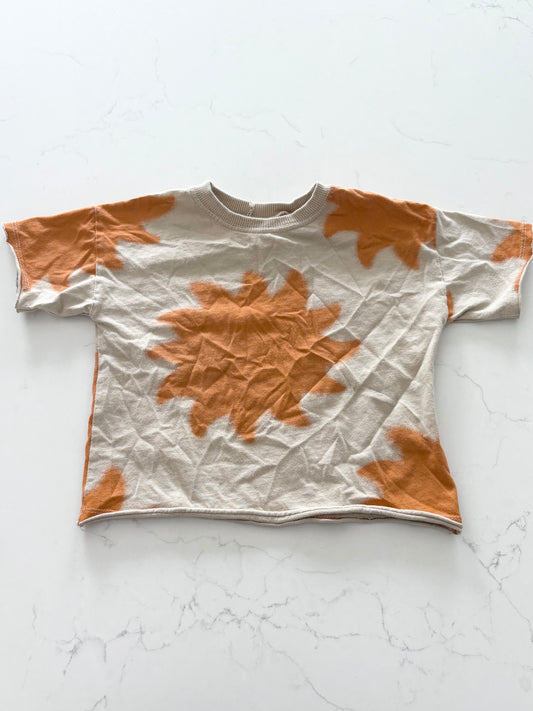 Zara-T shirt-2T